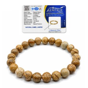 Brown Jasper Bracelet for Men and Women with Certificate of Authenticity